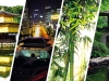 NextGen ScrollGallery thumbnail